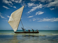Africa - Isola di Zanzibar